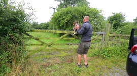 Driver goes on wild goose chase