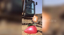 Skilful man operates digger to intricately cut cucumber balancing on a balloon