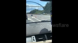 Horrifying footage shows hundreds of chicken carcasses scattered across UK motorway