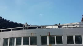 Dolphins in Batumi Georgia