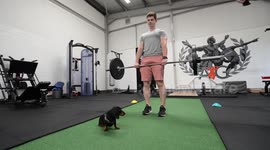 This UK personal trainer lets his clients bring their dogs to the gym