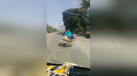 Overloaded motorcycle has family of four balancing with planks of wood