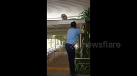 Kind security guard helps cat down from the roof by letting it climb on his shoulder