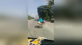 Newsflare Edit - Overloaded motorcycle has family of four balancing with planks of wood