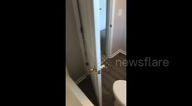 Just got the toilets installed...