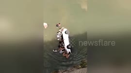 Residents save people trapped in car after it flips over into river in China