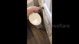 Renovations on US home toilet has fatal design flaw