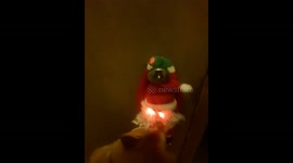 Amber Makes Santa's Naughty List (Again!)