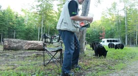 Moncton Man reading a bedtime story to Black Bear family