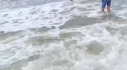 temp