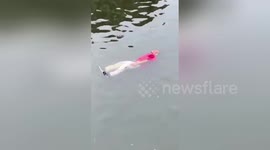Newsflare Edit - 北京“红衣河漂”大爷：跟着河水飘荡 市民报警后他突然站起