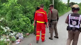 Stray dogs find lifeless abandoned baby on Thai roadside