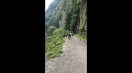 abandoned on a closed road in Sochi