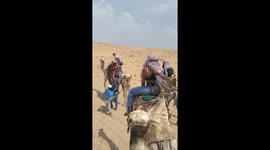 Camel rides in Egypt