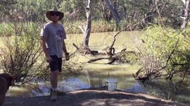 Home made yabby and shrimp catcher