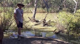 Home made yabby and shrimp catcher. Plus yabby race