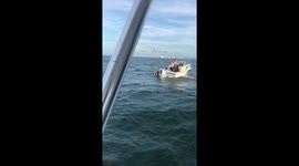 Shark Attack video 1