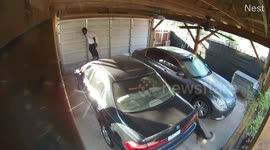 Instant regret! This was the moment a thief got caught by a dog in a US home