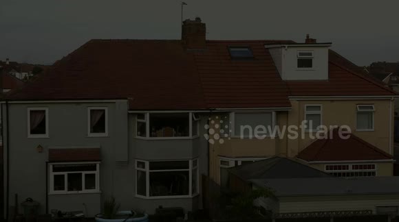 Baby seagull takes his first walk - on a high sloping roof!