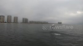 Big fish almost lands on kayaker