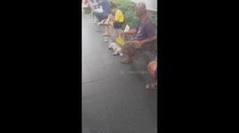 The man used his hand to fan his dog to sleep on the street
