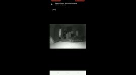 Cat being chased by what appears to be a little girl