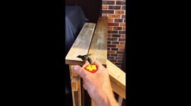 Canada man shows how to hand-feed hummingbird nectar