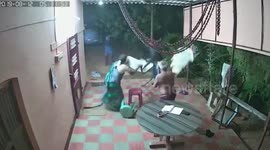 Dramatic moment elderly couple fights off armed miscreants with plastic furniture in southern India