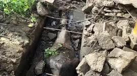 Horse rescued from gutter after hour-long marathon operation in western India