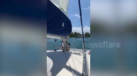 'Pedophile island': FBI agents raid dead billionaire Jeffrey Epstein's Caribbean home