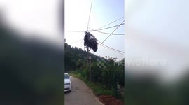 Scooter transported on truck ends up tangled in power lines above road in China