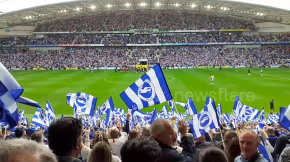 Brighton and Hove Albion Fans