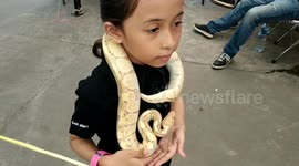 Exotic reptile show held in Padang, Indonesia