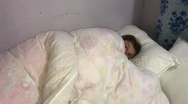 Hotel room is infested with thousands of flys