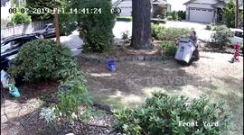 Yard Waste Battle