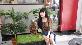 Model's Top Matches Owl's Feathers