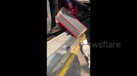 Short legged Bassett gets some assistance on to the train
