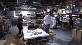 Global medic volunteers in Toronto package humanitarian aid supplies for various disaster zones around the world such as Syria