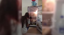 Newsflare Edit - Puppy scrambles into fridge and refuses to leave in northern India home