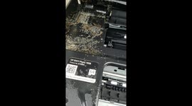Insane moment thousands of ANTS invade Florida man's printer