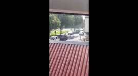 Clever swans... are they aware?!