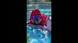 We all have that one family member that doesn’t like to get splashed.