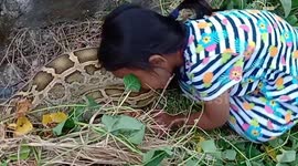 Indonesian toddler kisses and pets five-metre python in dangerous encounter