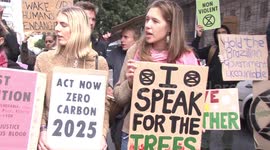 Activists gather outside Brazilian embassy in South Africa to protest destruction of the Amazon rainforest