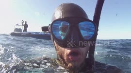 Incredible moment man narrowly avoids being swallowed whole by WHALE off South African coast