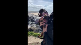 Bit Windy on the beach today!!!