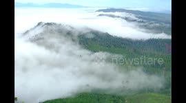 View Tropical forests and beautiful cloud at Suligi Hill, Indonesia