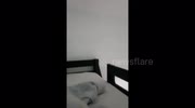 temp