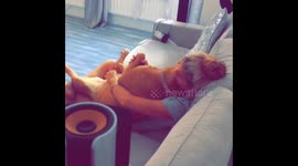 Dog thinks she a baby 