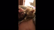 temp